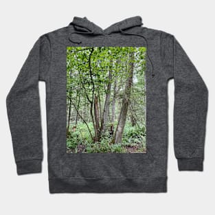 Trees in the forest, nature Hoodie